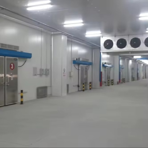 Energy-Saving Ammonia/Freon Cold Storage System Automated Monitoring Customized for Meat Processing Plants