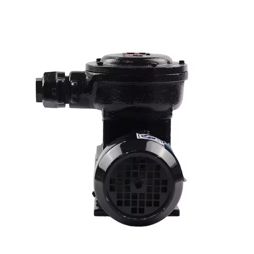 MG300PK AC380V Explosion Proof Magnetic Drive Gear Pump 180W 5 Bar for Industrial Chemical and Fuel Transfer