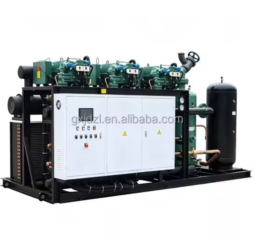 Voltage Customizable Automatic Operation Cold Chain Storage Multi Machine Energy-Saving Industrial Condensing Unit