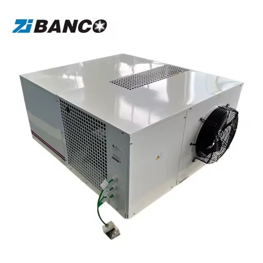 Ceiling Mounted Energy Saving Condenser Unit Refrigeration Small Cold Rooms Monoblock Design 0.75HP-4HP Cooling Capacity