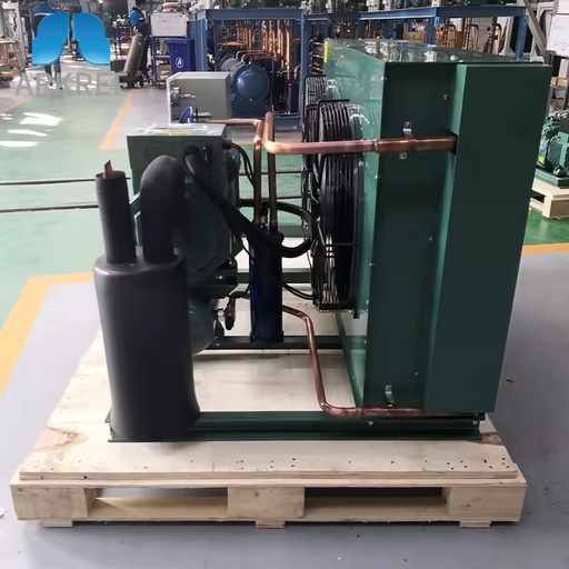 For New Energy Saving Cold Room Cold Storage R407c for Compressor Air Cooled Condensing Unit