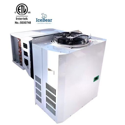 Top-Mounted Energy-Saving Automatic Cold Storage Monoblock System Used Cold Storage with Equipment Cooling