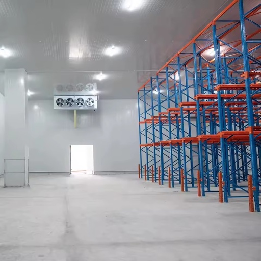 Energy -saving Cold Room for Onion Vegetable Fruit and Cool Storage Room