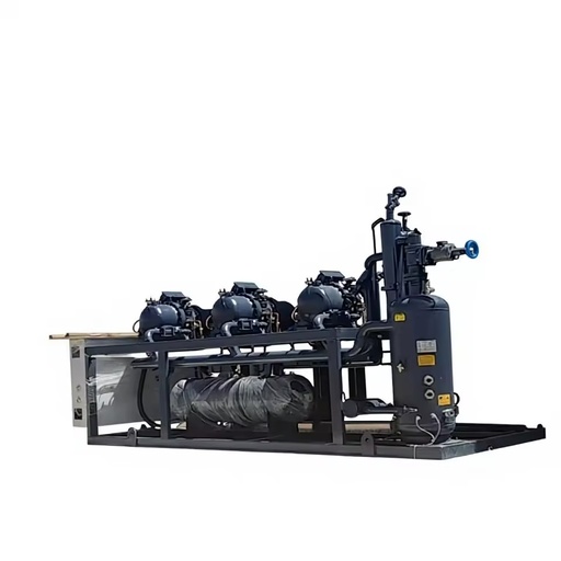 Customized Energy Saving Parallel Screw Compressor Unit for Food Processing Factory and Freezer Room Cooling