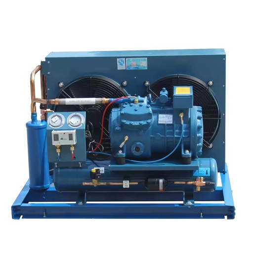 Energy Saving Eco-Friendly Semi-Hermetic Motor Cooling Condensing Unit Refrigeration Equipment for Walk-in Chiller