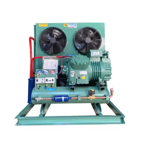 Blast Freezer Refrigeration Cold Room Condensing & Compressor Unit with Energy Saving Motor