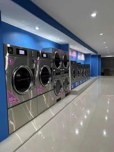 Commercial Grade 1 Stainless Steel Single Tumble Dryer Energy-Saving Electric 220V Automatic Stable Commercial Laundry Equipment