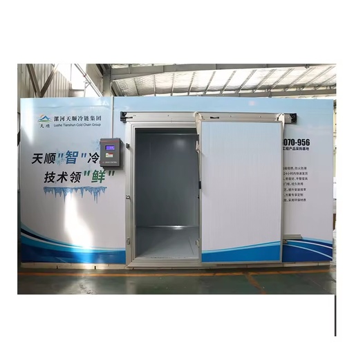 Eco-Friendly High-Accuracy Energy Saving Refrigeration Unit Container Cold Room Storage Freezer Automatic Competitive Price