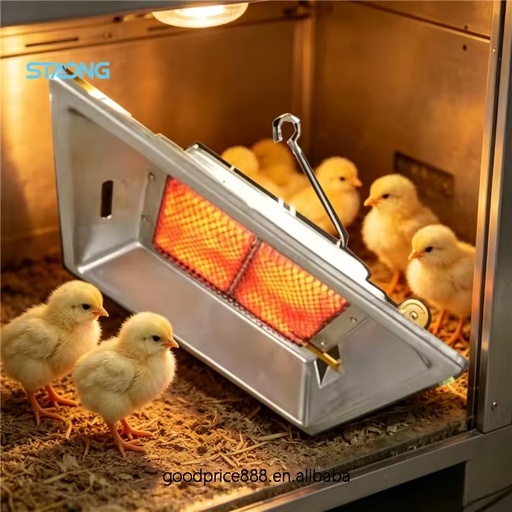 Flame Free Gas Infrared Heater Energy Saving Constant Temperature Heating Equipment for Farm