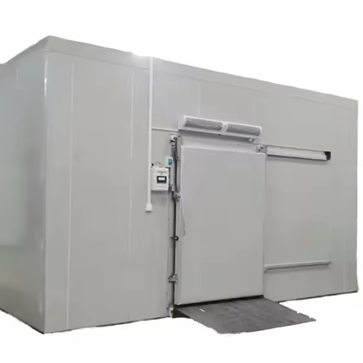 Quick-Freezing Cold Storage Equipment Set