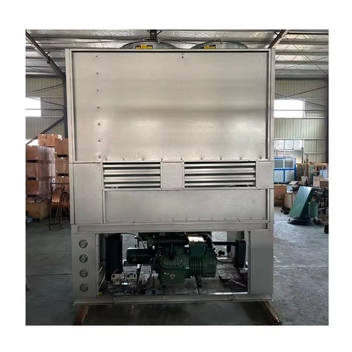 Customized 380V Industrial Refrigeration Evaporator Unit Energy Saving R410A Multifunction Quick Freezing Two-Stage Compressor