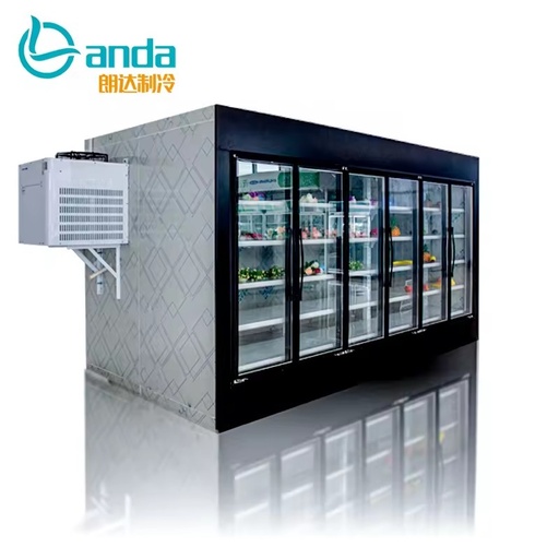 Energy-Saving Display Cold Room Combination Cooler and Freezer Walk-in Cooler Walking Cooler
