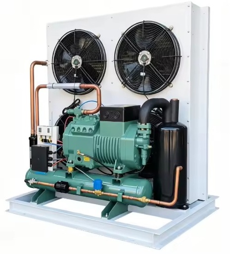 Energy Saving Cold Storage Outdoor Unit High Power Fresh Keeping Warehouse Air Cooled Compression Condensing Unit