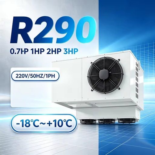 Ceiling Drop-in Inverter Refrigeration Monoblock Unit R-290 TIBO Scroll Compressor Energy Saving Hot Gas Defrost 0.7-3HP Cold