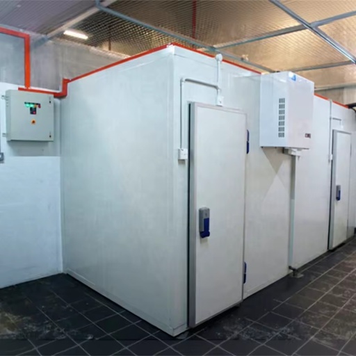 Customized Cold Storage Sizes Deep Freezer Meat Cold Room