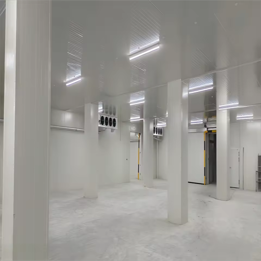 Intelligent Control Freezer Room for Modern Cold Chain with CE Certification