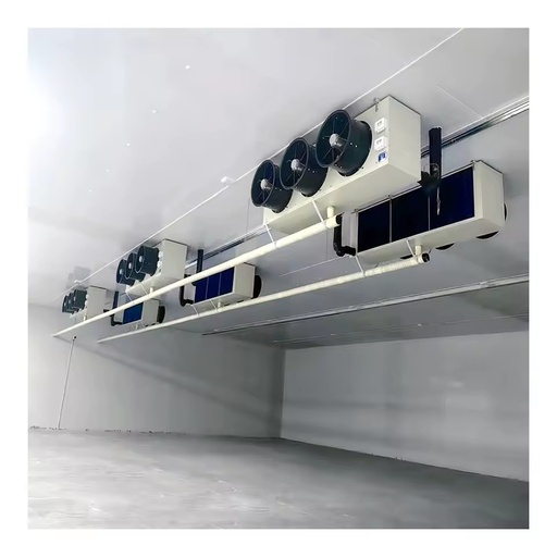Large Scale Cold Room Storage Industrial Walk in Freezer Room Motorized Sliding Door Automatic Control Refrigeration Warehouse