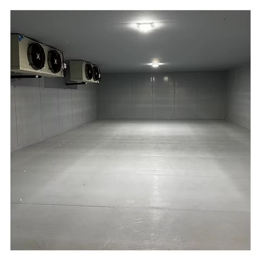Large Scale Cold Room Freezer Low Temperature Frozen Meat Storage Air Cooled Refrigeration Unit and System
