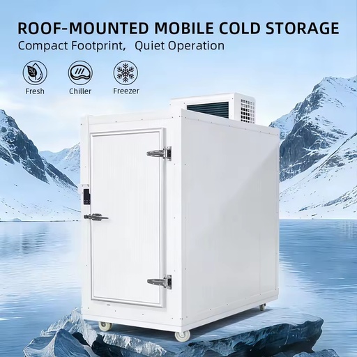 Professional Energy Saving Cold Room Storage for Fresh Fruit Vegetable Storage with Automatic Sliding Door and CE Certification