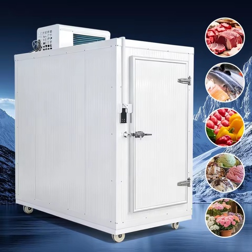 Energy Saving Walk in Freezer Coldroom Refrigeration Equipment Solar Freezer for Omasum Meat Farm Off-grid Free Design