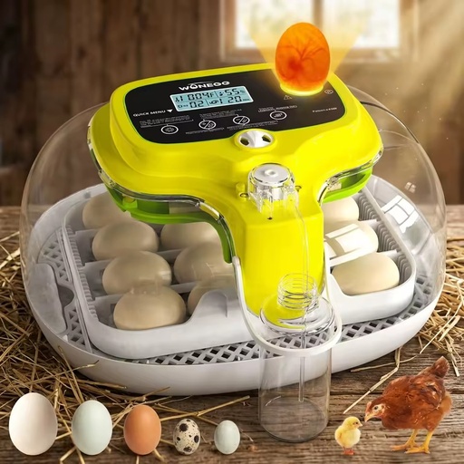 WONEGG 1 Year Warranty High Quality Mini Hatchery Egg Incubator Hatcheries Eggs Prices