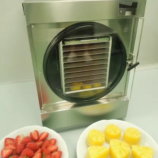 Household Freeze Dryer Machine 6kg 10kg 15kg 25kg 30kg Automatic PLC Pump SUS304 for Food Processing
