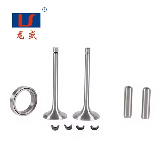 LS Replacement Iron Water Cooled Engine Valve Set Assy for ZS1115 ZS1125 ZS1130