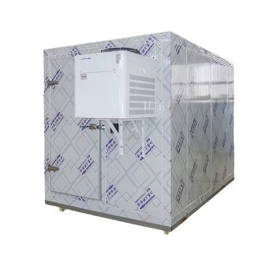 Energy Saving Solar Walk-in Freezer Cold Room Soundproof Design Remote Control Monitoring for Fruit Vegetable Meat Storage