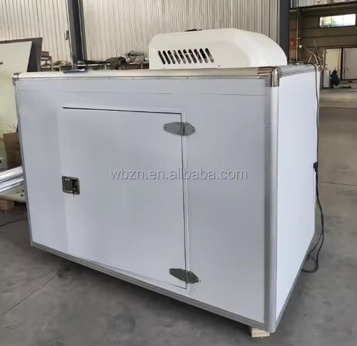 A Refrigerated Compartment Powered by Photovoltaic Solar Cells Cold Room Storage Walking Freezer