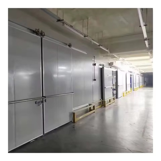 Blast Freezer Container Cooling System Reefer Container Vegetable Cold Room Refrigerator Walk in Fridge Refrigeration Equipment