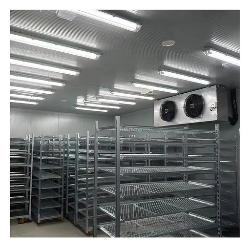 Evaporative Cooler Fish Cold Storage Room 10000Tons Build Cold Room Freezers Energy-saving Freezer Storage Containers