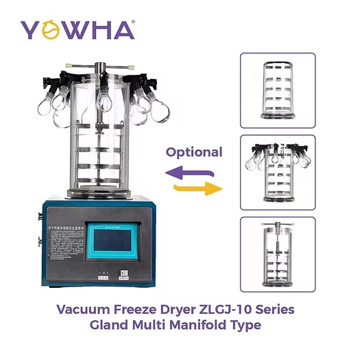 Factory Sales Vacuum Freeze Drying Machine with 0.1㎡ Freeze Dried Area 2L/S Pumping Speed