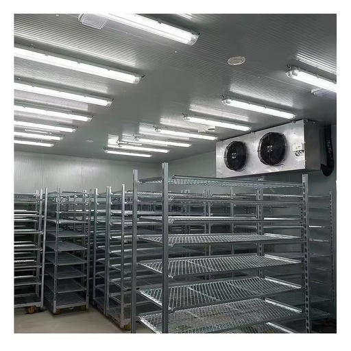 Large Cold Storage Warehouse Energy Saving Project Supply Chain Refrigeration Commercial Freezer Walking Cooler Container