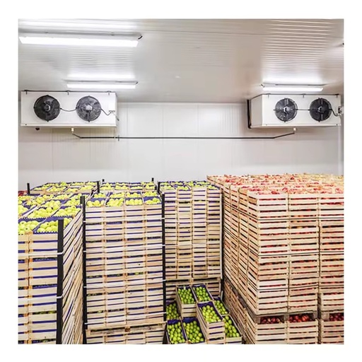 Standard Cold Storage Walk-In Refrigeration Chamber Daikin/Copeland Compressor Energy Saving Air Cooled Cooling System