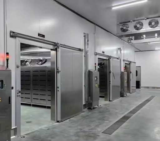 Constant Low Temperature Automatic Motor Solar-Powered Large Meat Cold Storage One Stop Construction for Frozen Seafood and Meat