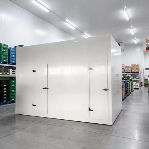 Complete Solar Cold Room System Turnkey Walk in Cooler Freezer Room Project with Condensing Unit & Solar Panel