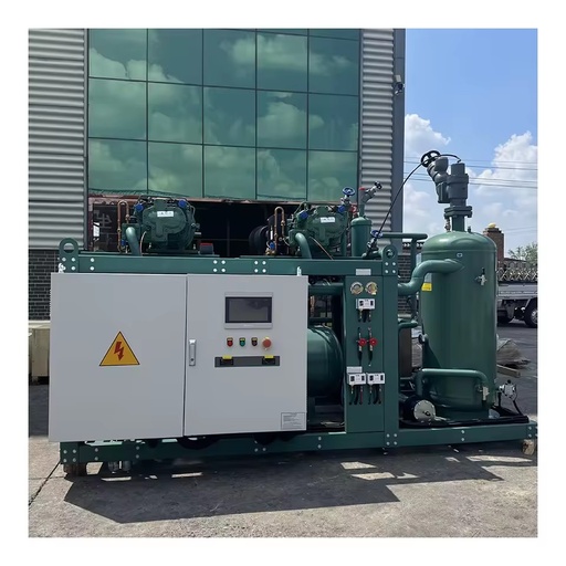 Screw Compressor Refrigeration Equipment Condensing Unit 50HP 60HP 70HP 75HP 100HP 125HP 160HP for Large Cold Chain Project