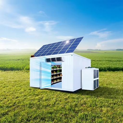 Grid Solar Powered 380V Walk-in Cooler Cold Room Motor High Efficiency Commercial Cold Storage for Vegetables Easy Operate