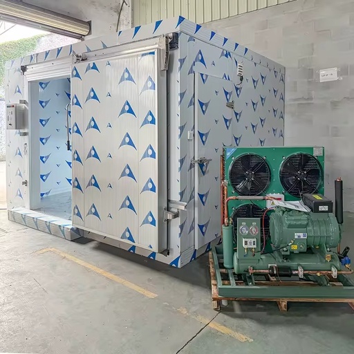 Customized Cold Room Freezing System