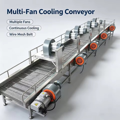 Energy Saving Motor Driven Conveyor Low Vibration Goods Transfer Machinery For E-commerce Distribution Center