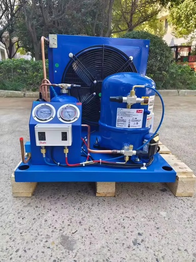 2hp Air Cooled Condensing Unit Refrigeration Compressor Outdoor Unit for Cold Storage Room Freezer