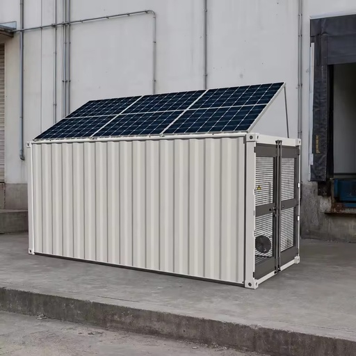 HCFC New 20-Foot Cold Storage Solar Container Refrigeration System with Eco-Friendly Design High Productivity Competitive Price