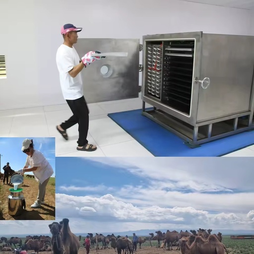 Commercial Automatic 200kg Freeze Dryer with SUS304 Stainless Steel for Fish Meat Protein Preservation and Nutrient Retention