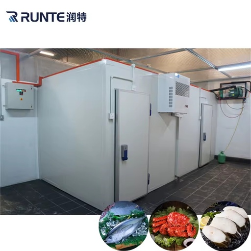 With Pu Storage Facilities 120 Mm Sandwich Panel Cold Room
