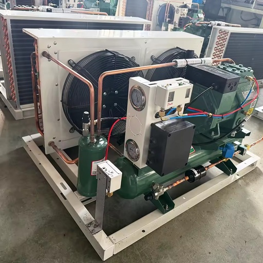 H-Type Air Cooled Condensing Unit 10HP 15HP 20HP for Cold Room Freezer Industrial Refrigeration High Efficiency Cooling System