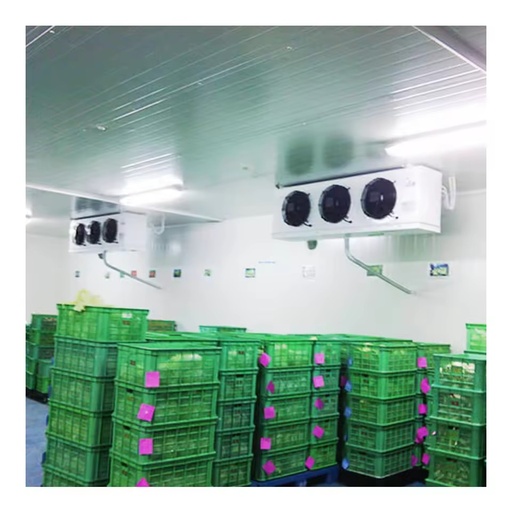 Factory Price Multifunctional Cold Room Storage for Ice Cream and Meat Large Scale Cold Room