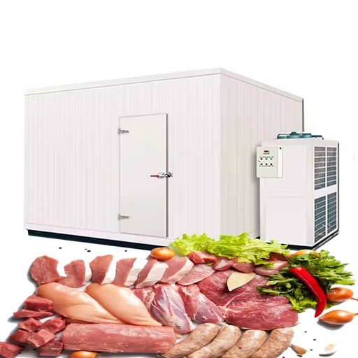 Industrial Solar Blast Freezer with Copeland Compressor Motor & Pump for Meat and Seafood Refrigeration