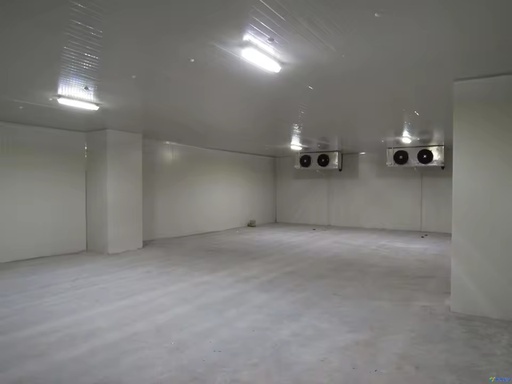 Environment Friendly Automatic Copeland Large Cold Room Gearbox One Stop Construction for Fresh Farm Fruits Vegetables