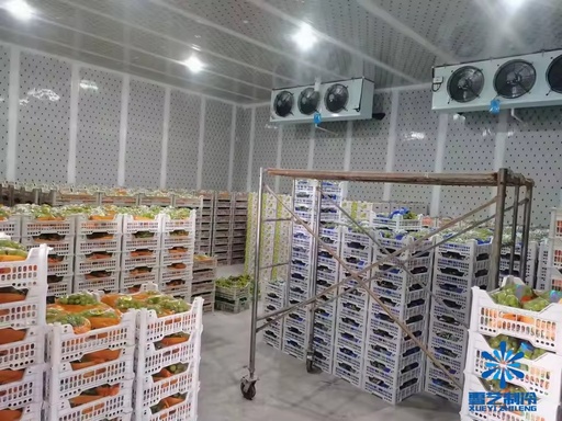 Intelligent Automatic Temperature Control Large Fruit Vegetable Cold Storage Copeland Solar Powered One Stop Construction