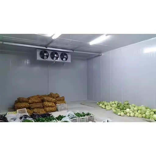 Custom Blast Freezing Cold Storage Room Branded Compressor for Seafood Meat Rapid Freezing Storage
